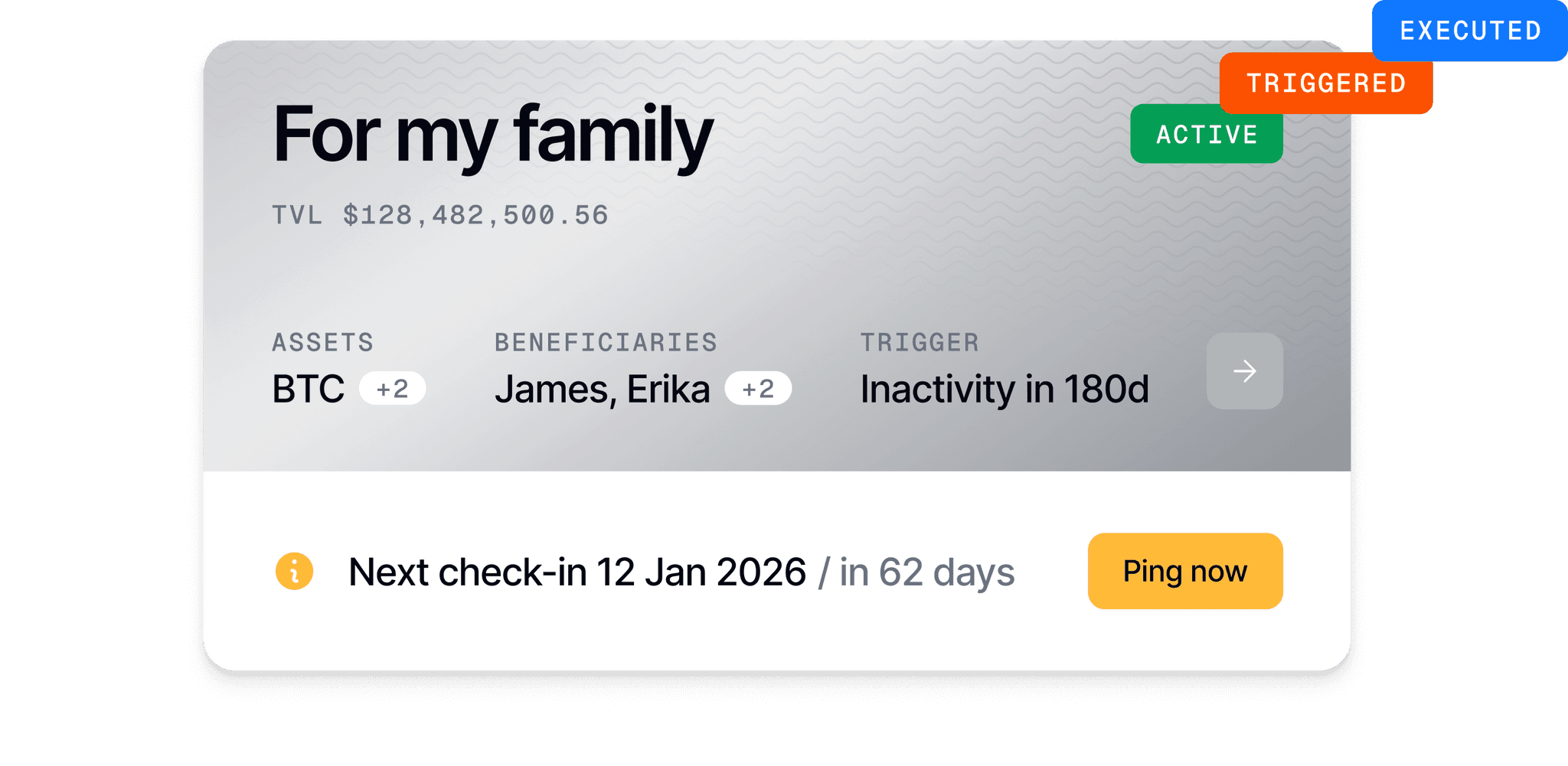 Desktop execution interface showing trust execution process