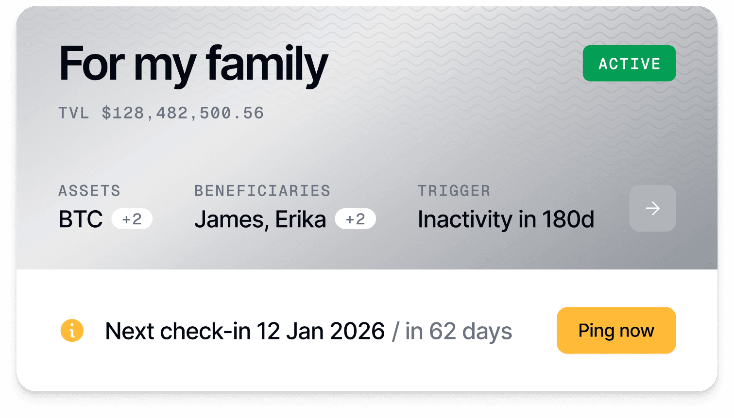 Mobile execution interface showing trust execution process